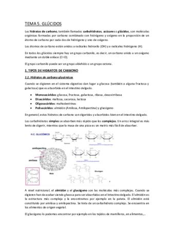 TEMA-5.pdf