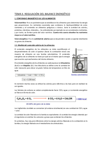 TEMA-3.pdf