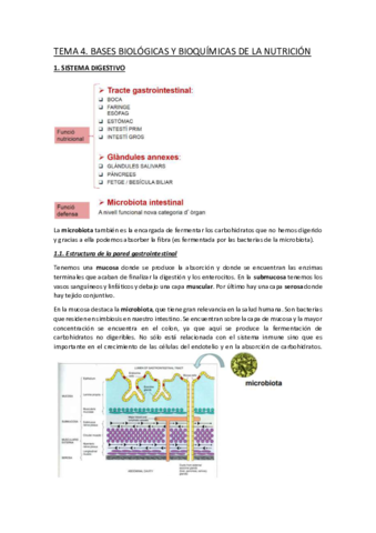 TEMA-4.pdf