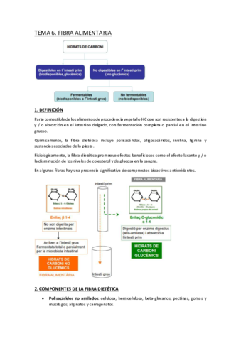 TEMA-6.pdf