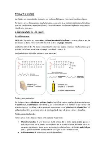 TEMA-7.pdf