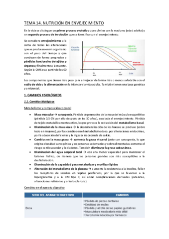 TEMA-14.pdf