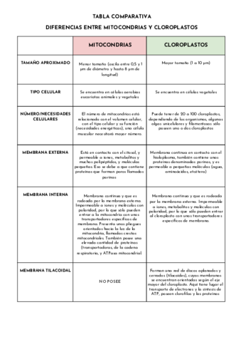 TABLA-COMPARATIVA-MITOCONDRIAS-Y-CLOROPLASTOS.pdf