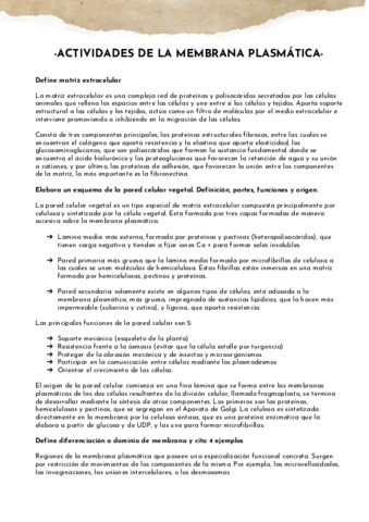 -ACTIVIDADES-DE-LA-MEMBRANA-PLASMATICA-.pdf
