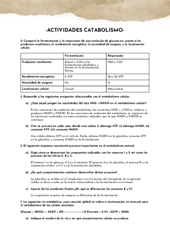 ACTIVIDADES-CATABOLISMO.pdf