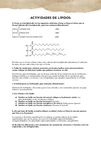 ACTIVIDADES-DE-LIPIDOS.pdf