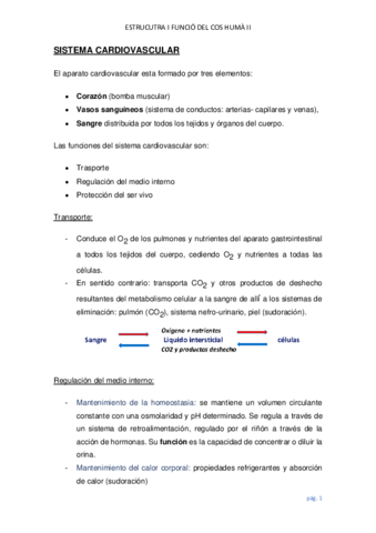 SISTEMA-CARDIOVASCULAR-2.pdf