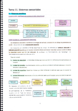 MT11. Sistemas sensoriales.pdf