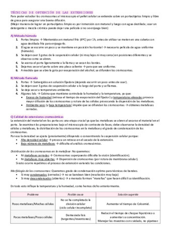Tema-4-Citogenetica-parte-2.pdf