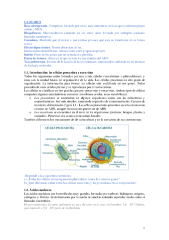 BM-unidad-1.pdf