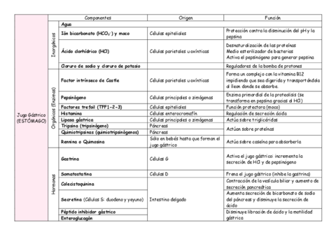 X-jugos-digestivos.pdf