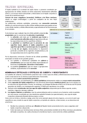 EPITELIAL.pdf