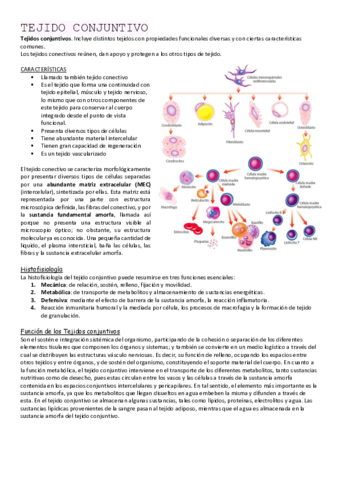 CONJUNTIVO.pdf