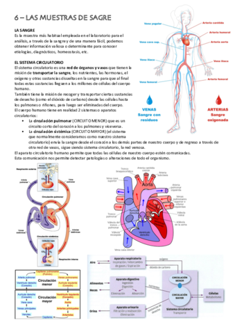 UD-6-Muestras-de-sangre.pdf