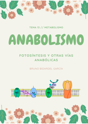 Anabolismo.pdf
