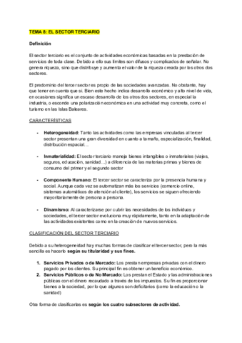 El-Sector-Terciario.pdf