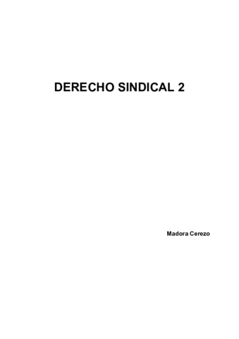 SINDICAL-2.pdf