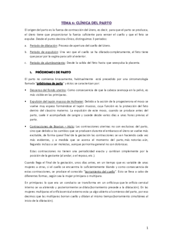 Tema-6.pdf