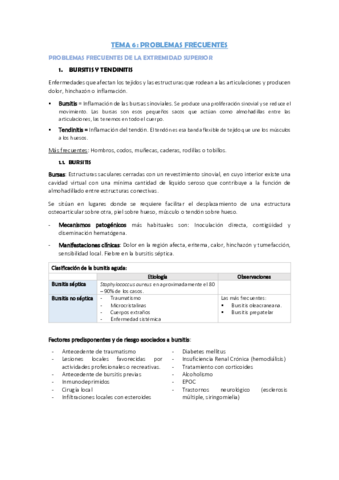 TEMA-6.pdf