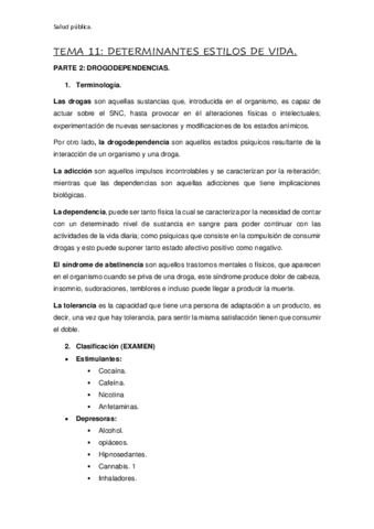 TEMA-11-PARTE-2.pdf