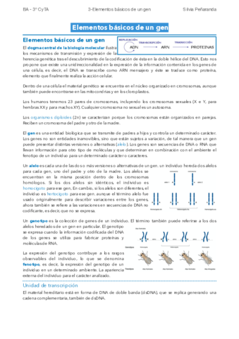 3-Elementos-basicos-de-un-gen.pdf