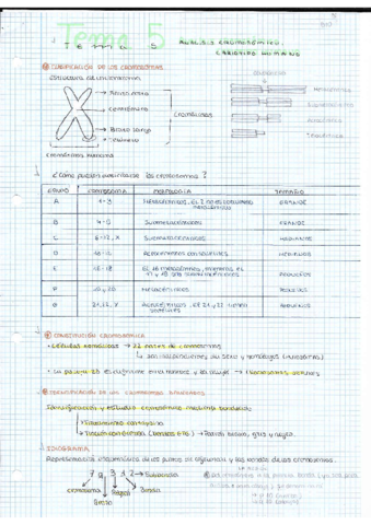 TEMA-5-Biologia-Molecular.pdf