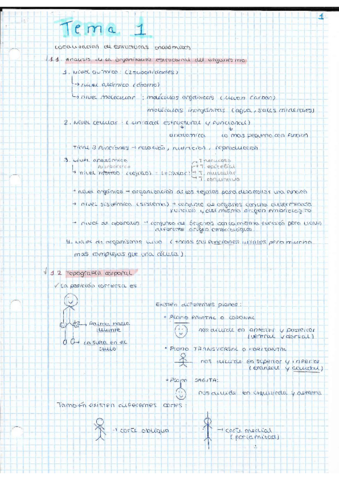 TEMA-1-FISIOPATOLOGIA.pdf