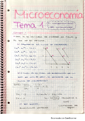 Micro-TEMA-1-ejercicios-resueltos.pdf