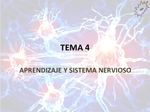 Tema-4Aprendizaje-y-SN.pdf