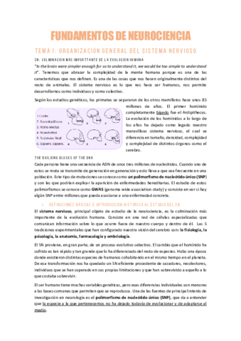 NRUTOCIENCIAST1Organizacion-del-SN.pdf