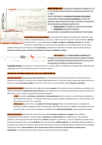 PROTEINAS.pdf