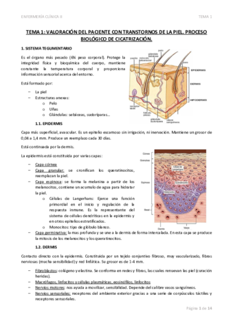 TEMA-1-VALORACION-DEL-PACIENTE-CON-TRANSTORNOS-DE-LA-PIEL.pdf