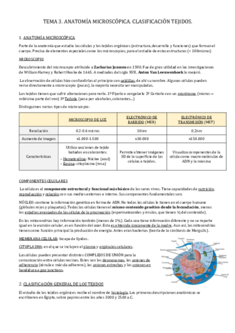 TEMA 3 y 4.pdf