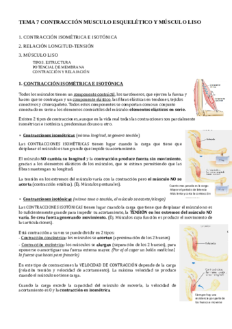 TEMA-7.pdf