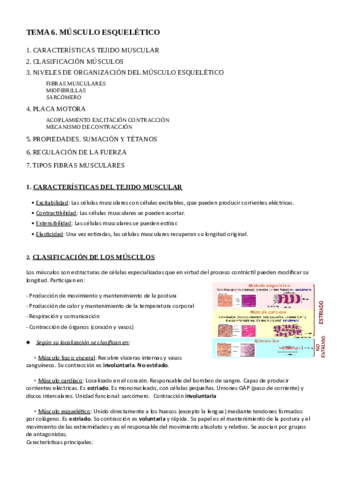 TEMA-6.pdf