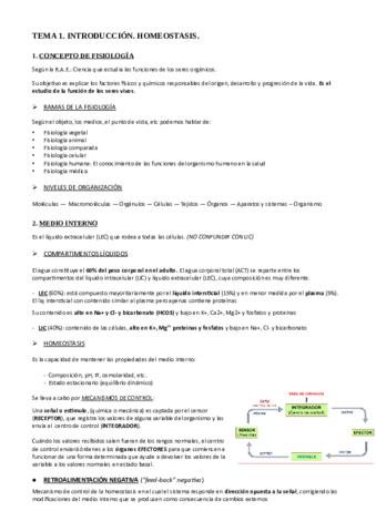 TEMA-1.pdf