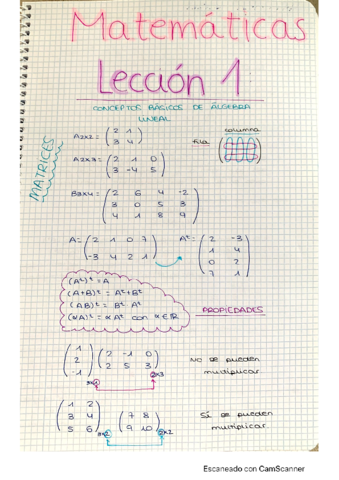 Leccion-1-Resumen-y-Ejs-resueltos.pdf