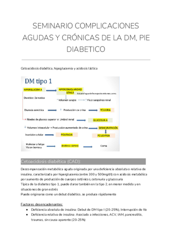 SEMINARIO-COMPLICACIONES-AGUDAS-Y-CRONICAS-DE-LA-DM-PIE-DIABETICO.pdf