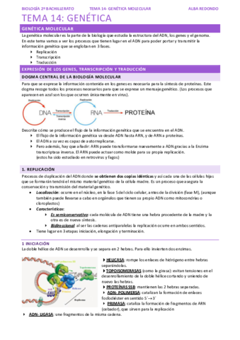 TEMA-14-GENETICA-MOLECULAR.pdf