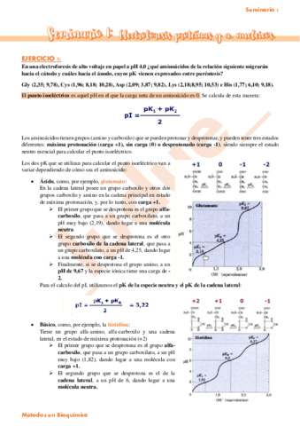 Seminario-1-Electroforesis-proteinas-y-acidos-nucleicos.pdf