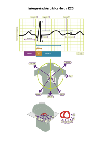 esquema-ECG.pdf