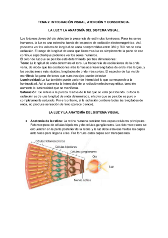 TEMA-2-INTEGRACION-VISUAL-ATENCION-Y-CONSCIENCIA.pdf