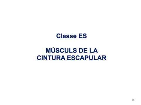 Diapositives-ALO-2.pdf