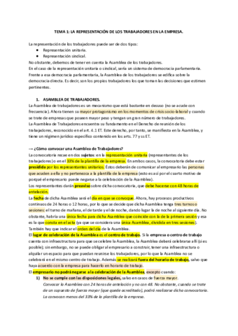 TEMA-1-LA-REPRESENTACION-DE-LOS-TRABAJADORES-EN-LA-EMPRESA.pdf