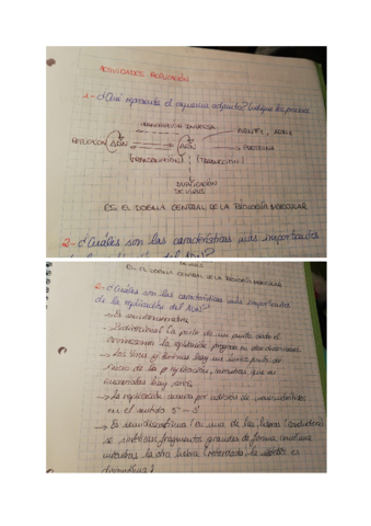 ActividadesresueltasdereplicaciondeAdn.pdf