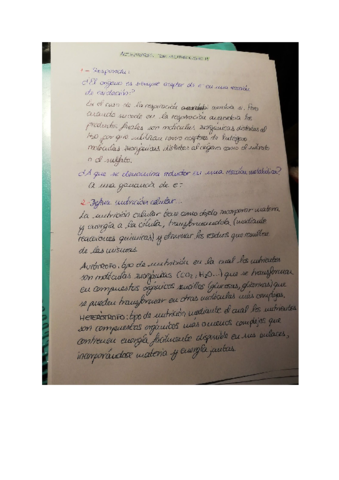 Documento-sin-titulo-2.pdf