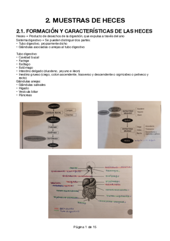 Muestras-de-heces.pdf
