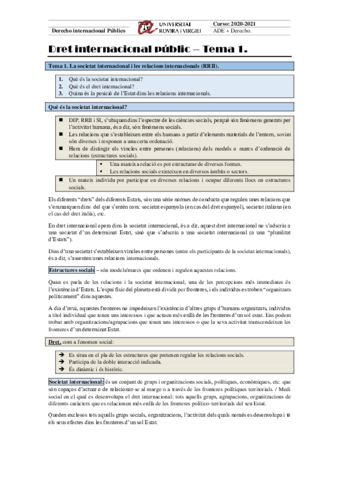 Internacional-Tema-1.pdf