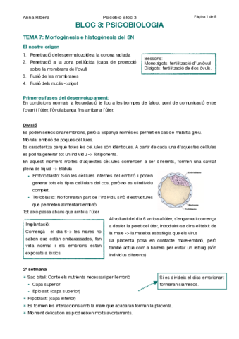 Bloc-3-.pdf