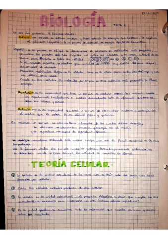 tema6.pdf